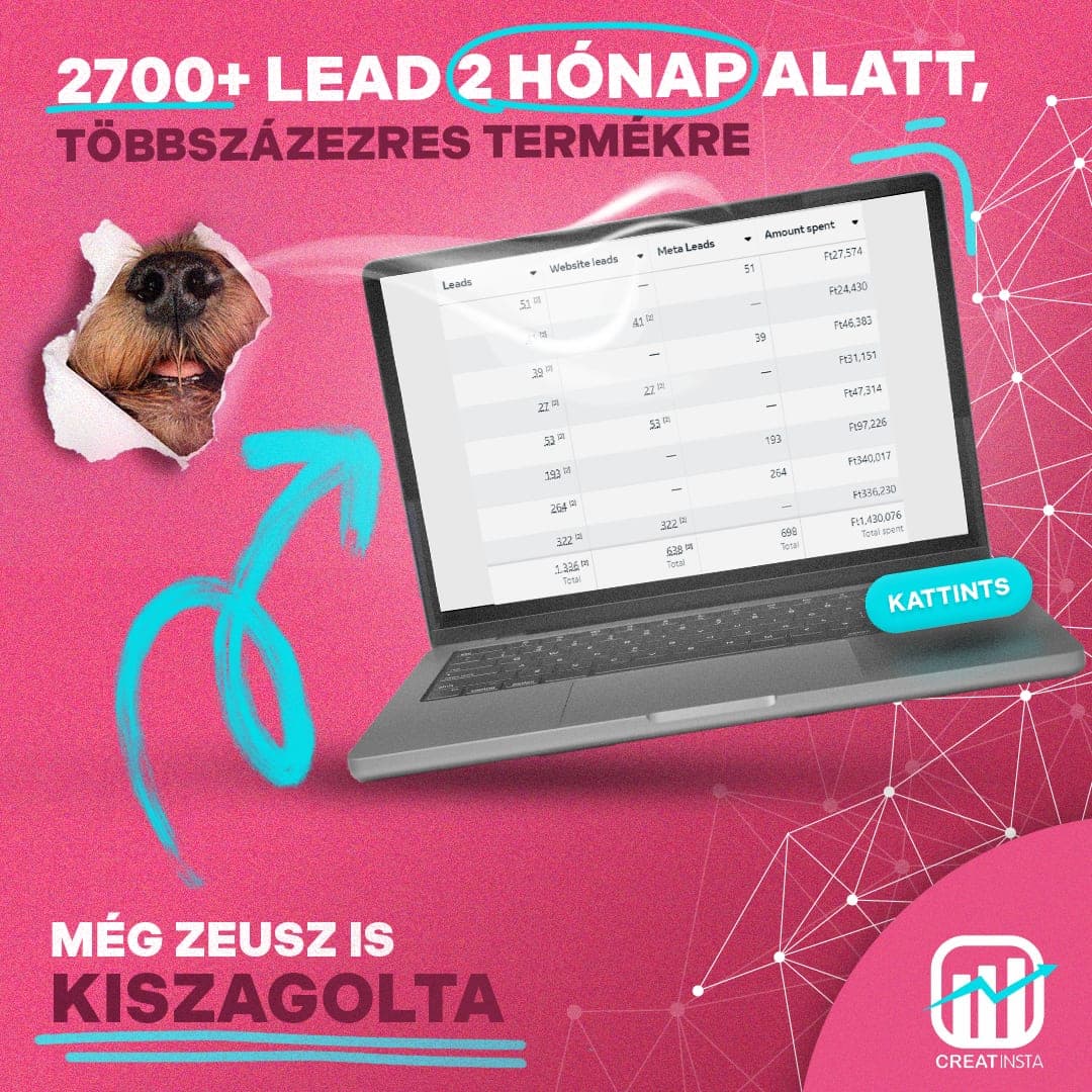 Esettanulmány borítókép: laptop képernyőjén a Facebook hirdetési eredménytáblázata, mellette egy papírt átbökő kutyaorr.